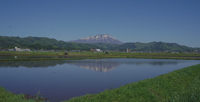 アクセス